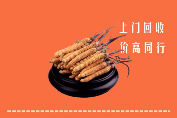 高价求购：屯溪区回收散虫草