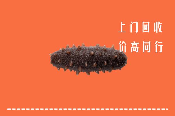 高价求购：屯溪区回收海参