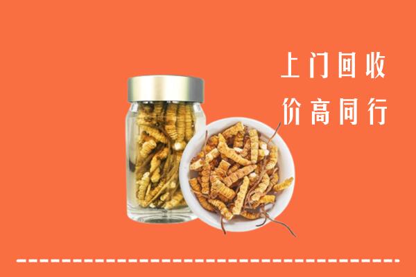 屯溪区高价回收冬虫夏草
